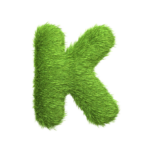 istock Capital letter K shaped from lush green grass, isolated on a white background 2135290994