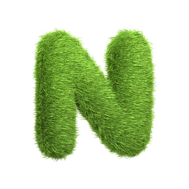 istock Capital letter N shaped from lush green grass, isolated on a white background 2135291013