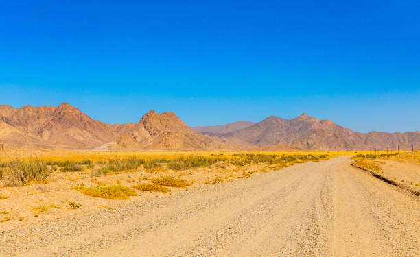 istock Arid landscape in the Richtersveld National Park 2135307667