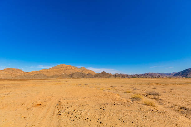 istock Arid landscape in the Richtersveld National Park 2135309344