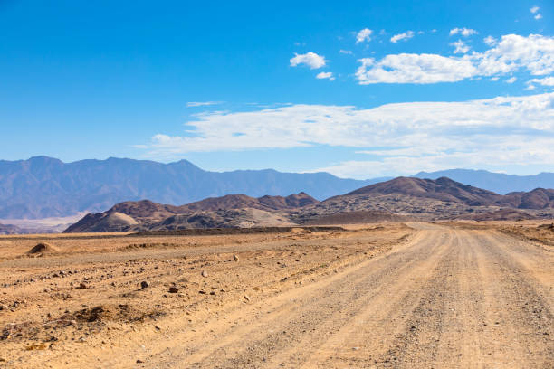 istock Arid landscape in the Richtersveld National Park 2135310452