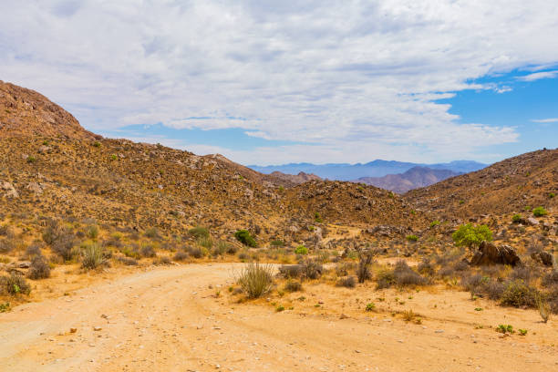 istock Arid landscape in the Richtersveld National Park 2135312626