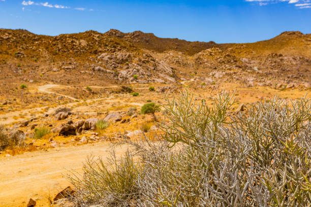 istock Arid landscape in the Richtersveld National Park 2135313148