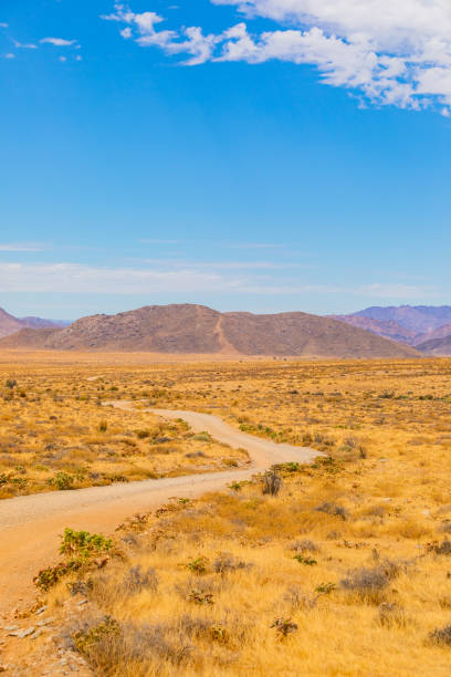 istock Arid landscape in the Richtersveld National Park 2135313678