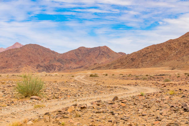istock Arid landscape in the Richtersveld National Park 2135315311