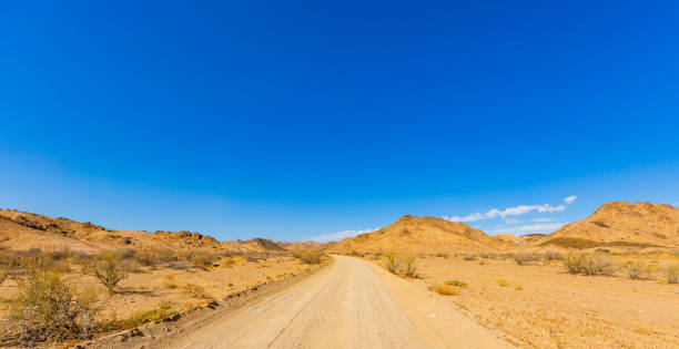 istock Arid landscape in the Richtersveld National Park 2135321760