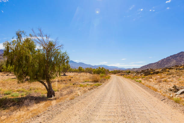 istock Arid landscape in the Richtersveld National Park 2135324456