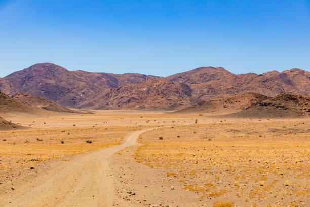 istock Arid landscape in the Richtersveld National Park 2135333183