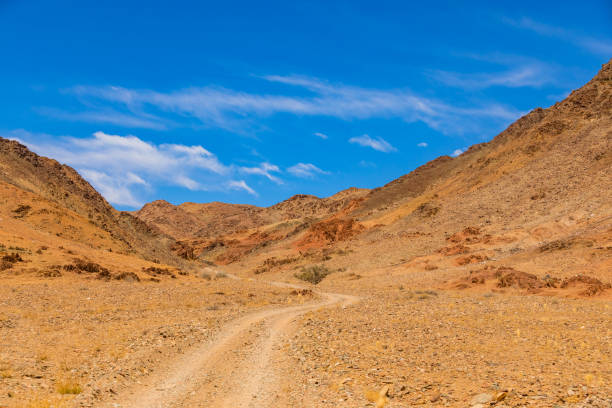 istock Arid landscape in the Richtersveld National Park 2135334235