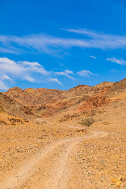 istock Arid landscape in the Richtersveld National Park 2135334236