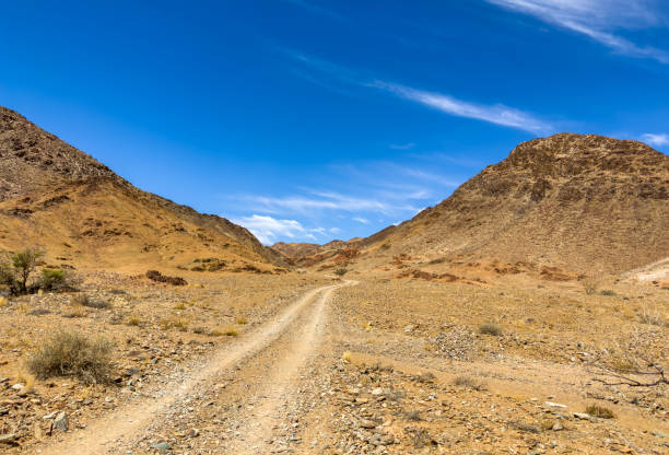 istock Arid landscape in the Richtersveld National Park 2135334237