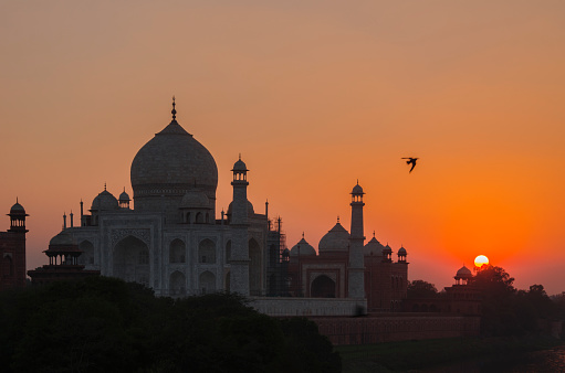 Taj Mahal during Sunset, Colorful sky, Birds flying, Yamuna river, Agra, Uttar Pradesh, India.