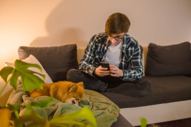 istock Having a relaxed evening with my Pomeranian 2135343788