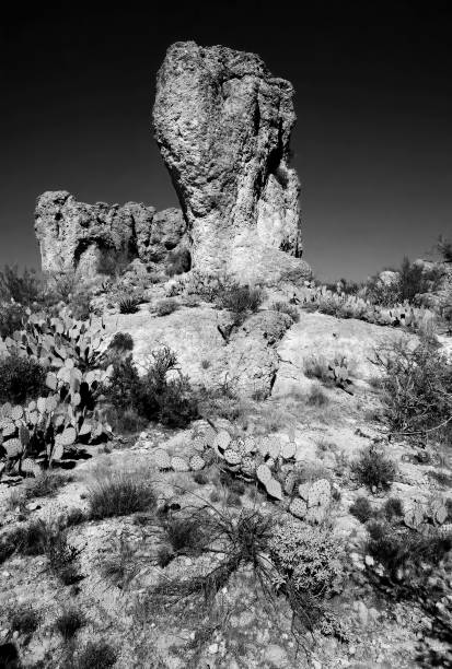 istock Central Sonora Desert Arizona 2135349238