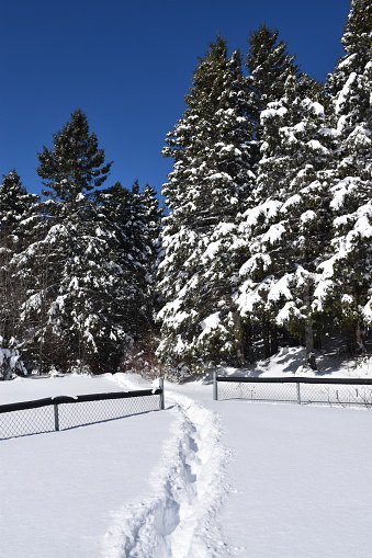 Au parc en hiver, Sainte-Apollline, Québec, Canada