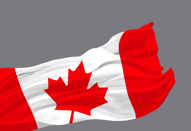 istock Canada flag waving in the wind isolated on grey background 3D render 2135372871
