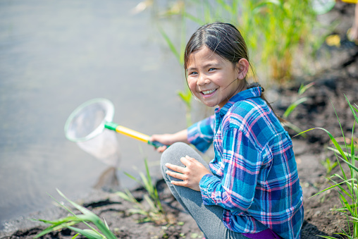 A young elementary student  squats down at the edge of a pond with a net in hand as she searches for insect samples in the water.  She is dressed casually and smiling as she looks up from her net.