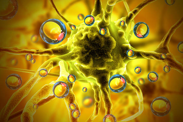 istock 3d rendering of human cells on a science background 2135410679