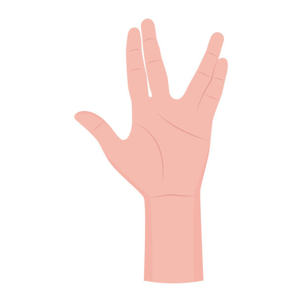 Hand gesture, Vulcan salute. Body language for communication. Vector illustration isolated on white background. Hand gesture, Vulcan salute. Body language for communication. Vector illustration isolated on white background. vulcan salute stock illustrations
