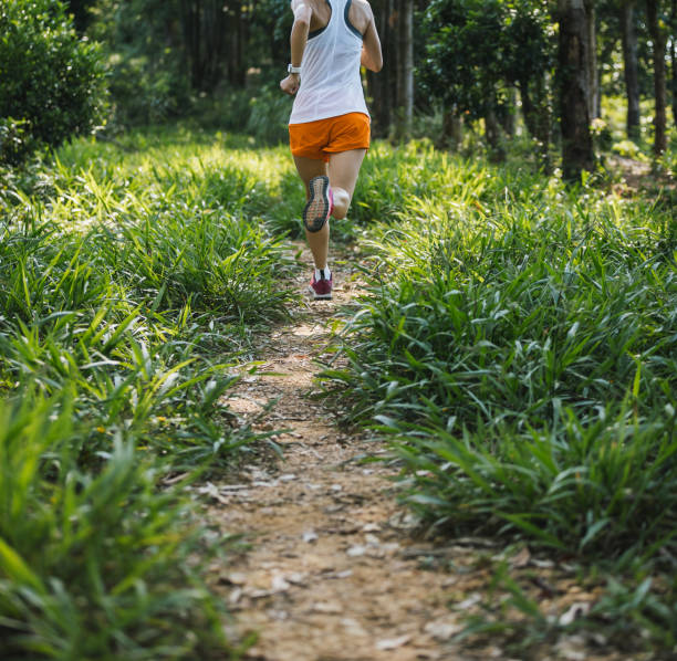 istock Woman trail runner running at tropical forest mountain peak 2135454196