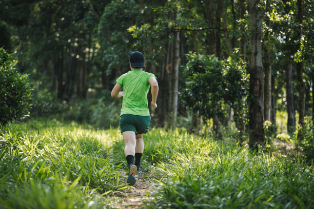 istock Woman trail runner running at tropical forest mountain 2135455250