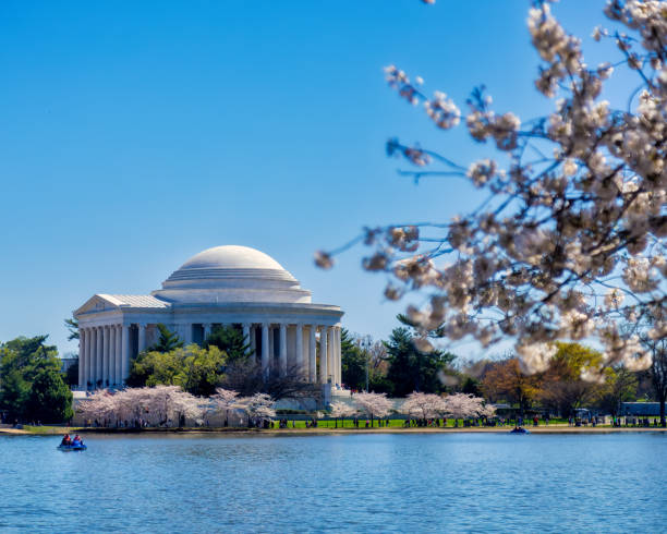 Washington DC during Cherrry Blossom Festival