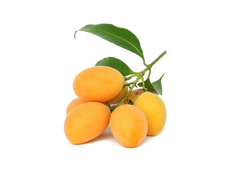 Fresh yellow organic sweet maprang  Sweet or sour fruit also called Marian Plum, isolated on white background.