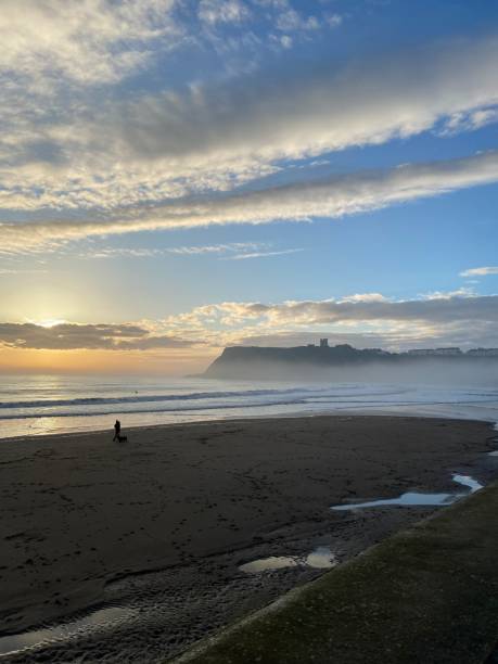 istock Morning sun at Scarborough beach 2135497813