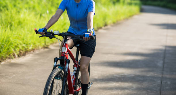 istock Riding bike in summer forest 2135516808