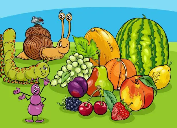 Vector illustration of cartoon insects characters and snail with fresh fruit