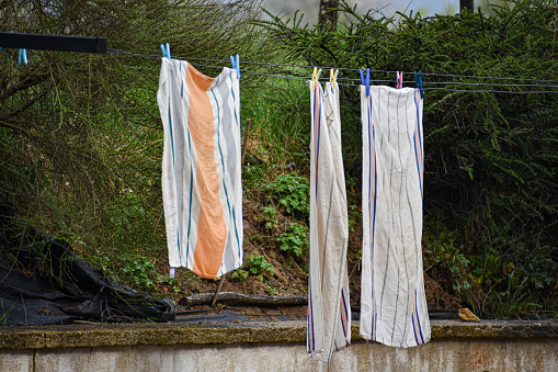 Some laundry are being hanged in the backyard of a house