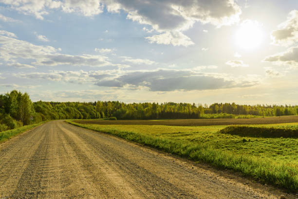 istock Empty Sandy country road near the forest,fluffy clouds,summer evening sunset landscape. 2135529012