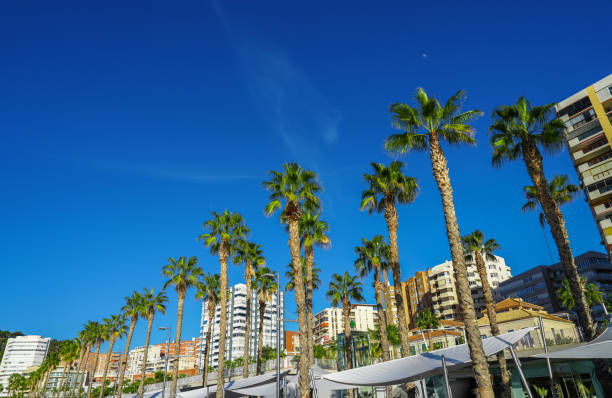 Modern high-rise  buildings along Embarcadero Muelle dos Pier waterfront harbor pier on a bright sunny day with blue sky and palm trees