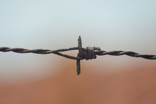 barbed wire detail. stretch of old wire with blurred background