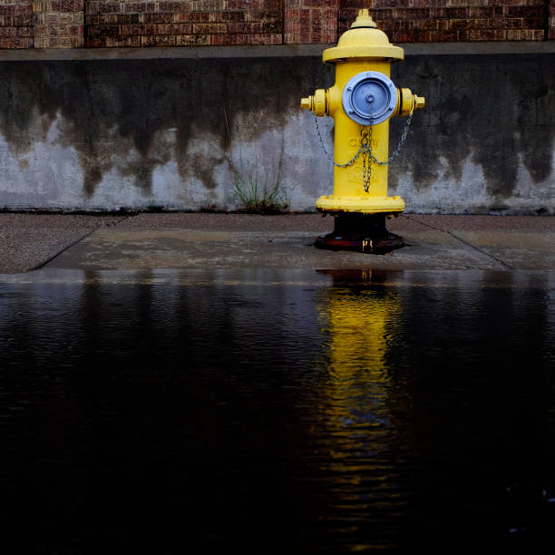istock Yellow Fire Hydrant Reflected in Pool of Water Flood 2135568450