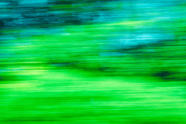 Abstract Green trees blue sky motion blurred green leaves background.
