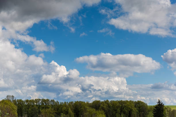 Section of sky with cumulus clouds above the trees on a foreground in early spring
