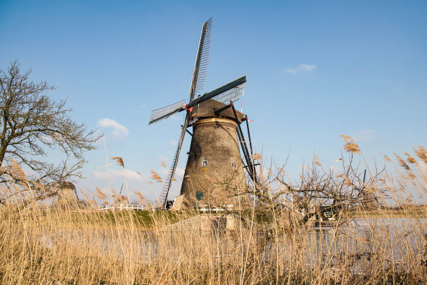 The windmills in Holland are a phenomenon, so many little city's and villages have their own windmill. They were used for sawing wood and grind grain but the main purpose was to drain the Dutch polders. Our water management is worldwide famous. We gained a lot land with drainage and keep our feet dry. Nowadays the hobby miller let the wicks turn for the visitors but also for biological grain and sometimes still working at the watermanagement on little scale. We're proud of our windmills ! Let's win the Eurovision songfestival with our song Europapa where you see a real dutch windmill in the clip