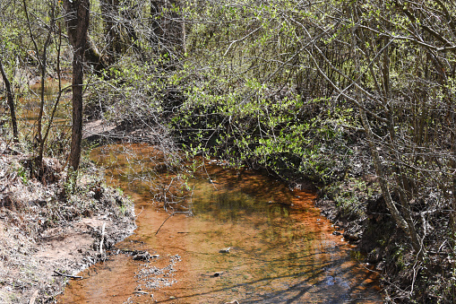 A brackish creek offers a sense of tranquility during a walk.