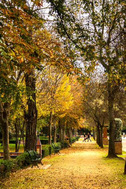 istock walk through a garden in autumn 2135663027