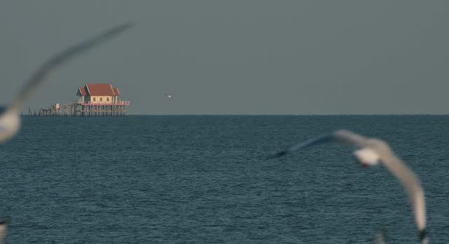 A Buddhist temple in the horizon in the middle of the sea seen during the afternoon as seabirds fly around, Thailand