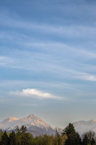A natural landscape featuring a blurry mountain range with trees in the foreground, set against a blue sky, showcasing the beauty of an ecoregion