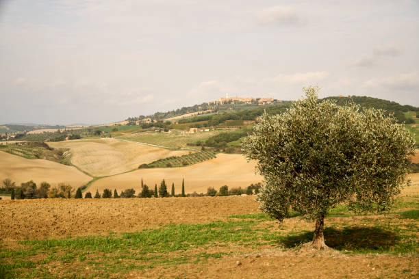 Tuscany is the second most popular Italian region for travelers after Veneto.