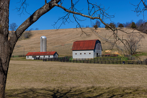 Gap, USA - November 11, 2023. Amish farmhouse with animals, Lancaster County, Pennsylvania, USA