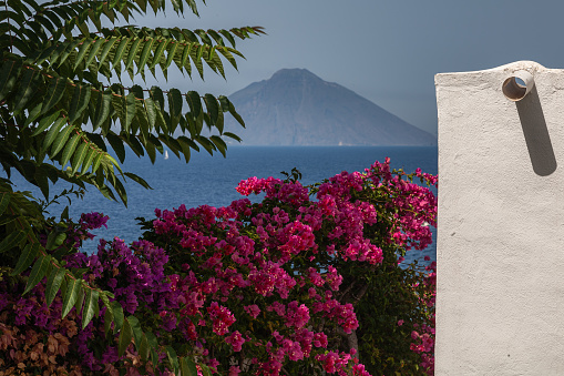 Bougainvillea flowers, a tree and a white stucco wall stand in front of the sea with the volcanic island of Stromboli in the background, seen from Panarea.