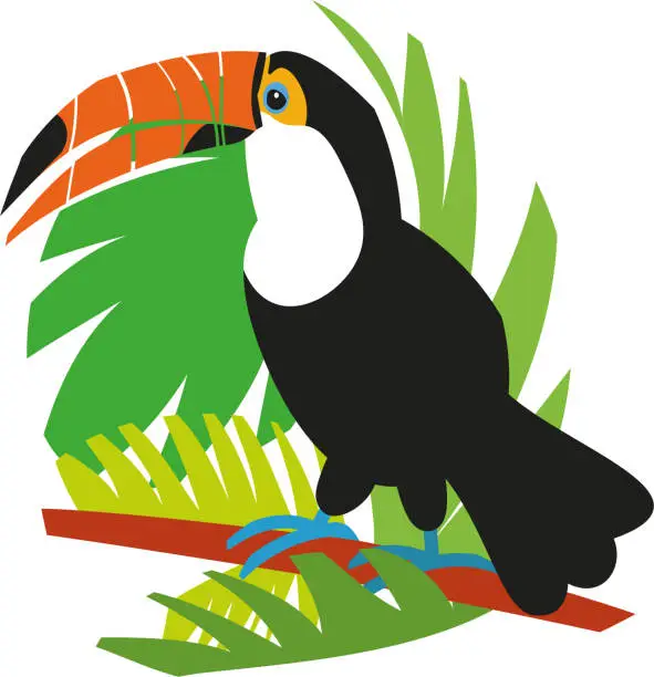 Vector illustration of Toucan bird sitting on a branch.