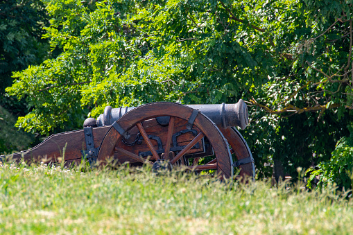 Old medieval cannon in front of a green wooded area