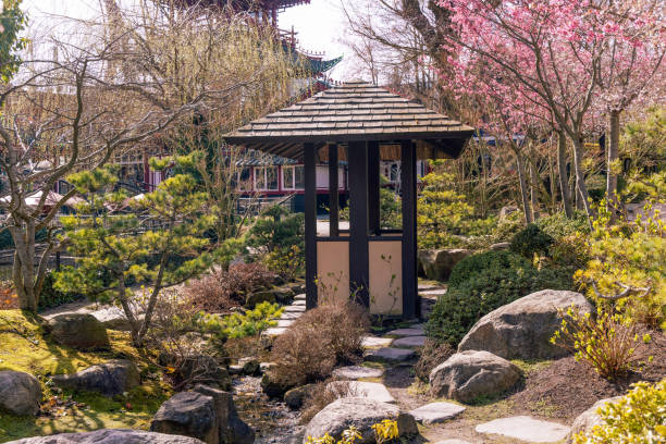istock Garden in Japanese style 2135739614