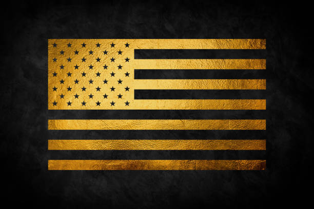 United states gold flag vector design. USA.