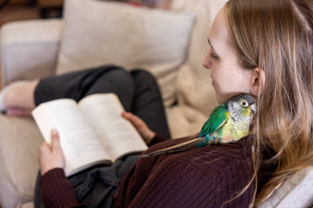 istock Green Cheek Conure and Young Woman 2135764858